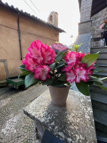 La Rocchetta Villa Sutri Dış mekan fotoğraf